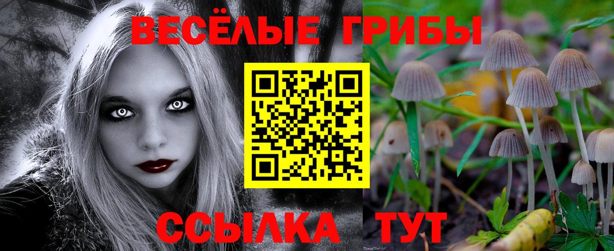Псилоцибиновые грибы GOLDEN TEACHER  Вход с VPN  Галлюциногенные грибы Psilocybine cubensis  Добрянка 